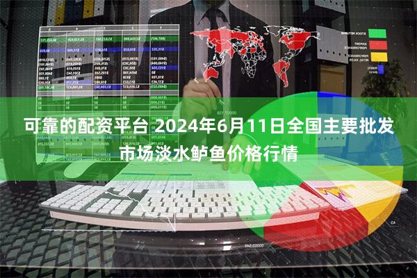 可靠的配资平台 2024年6月11日全国主要批发市场淡水鲈鱼