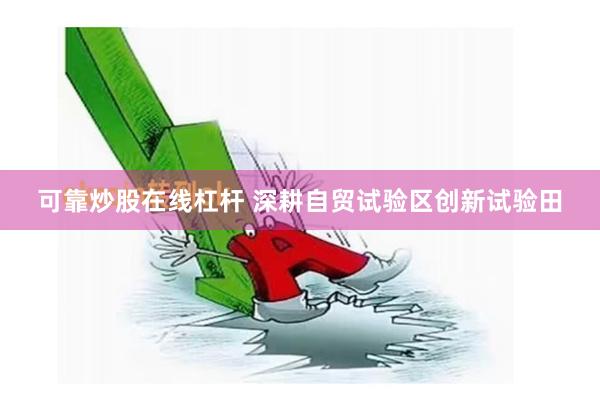 可靠炒股在线杠杆 深耕自贸试验区创新试验田